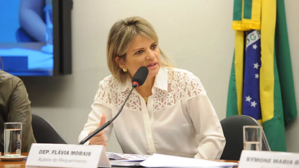 Flávia Morais acerta saída do PDT com Carlos Lupi