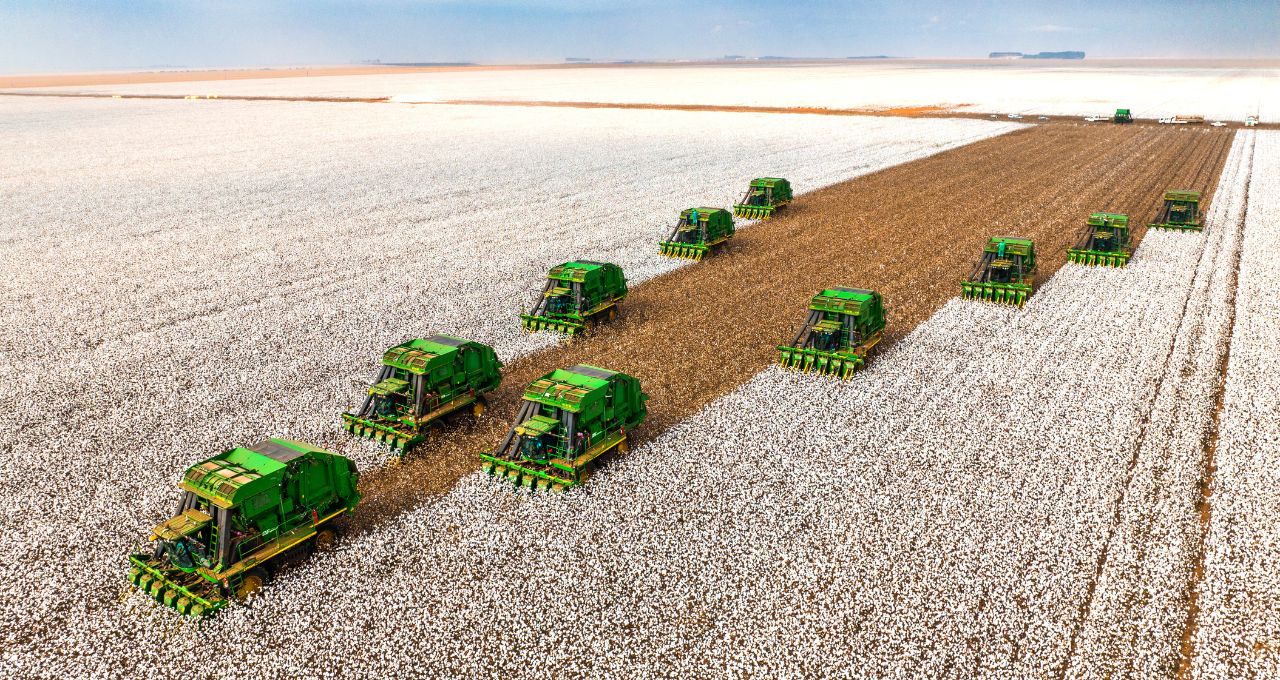 Após petróleo, guerra no Oriente Médio ameaça disparar commodities agrícolas; veja onde investir