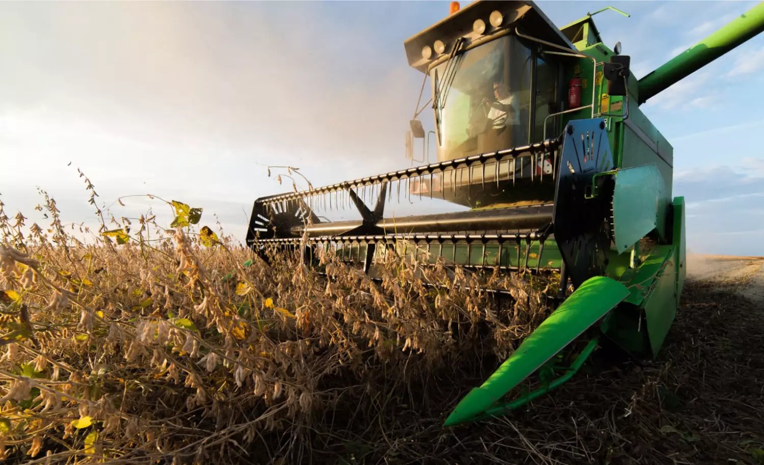 IBGE eleva projeção de safra 2026 para 348,7 milhões de toneladas: soja e milho puxam crescimento, mas algodão e arroz recuam