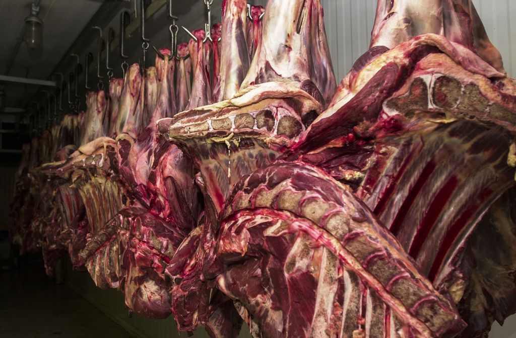 China acelera abertura para carne brasileira: 33 novos frigoríficos brasileiros na fila para exportação em 2026