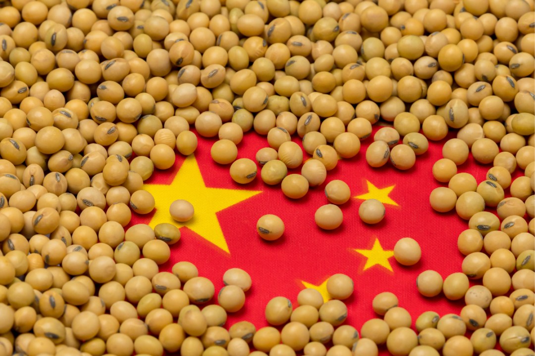 China acelera compras de soja dos EUA e impulsiona mercado global em abril