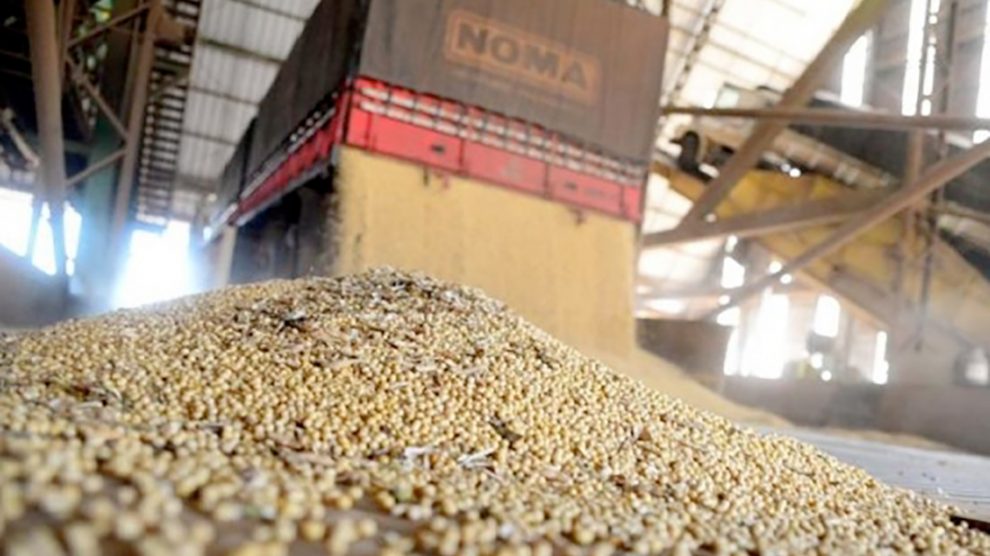 ABIOVE projeta recorde histórico: Brasil processará 62,5 milhões de toneladas de soja em 2026