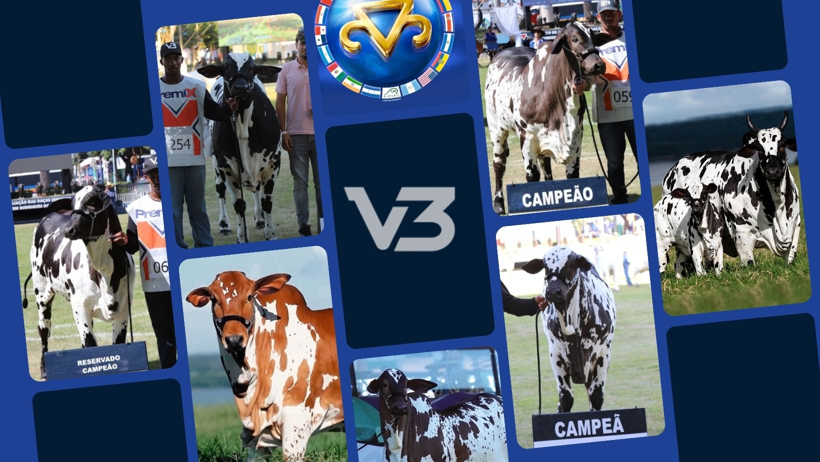 ExpoZebu 2026: V3 Nelore Pintado domina exposição e redefine mercado genético com títulos históricos