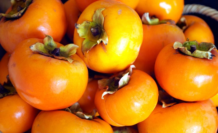 Brasil abre 3 novos mercados no agro: caqui na Costa Rica, ração no México e amendoim na Nicarágua