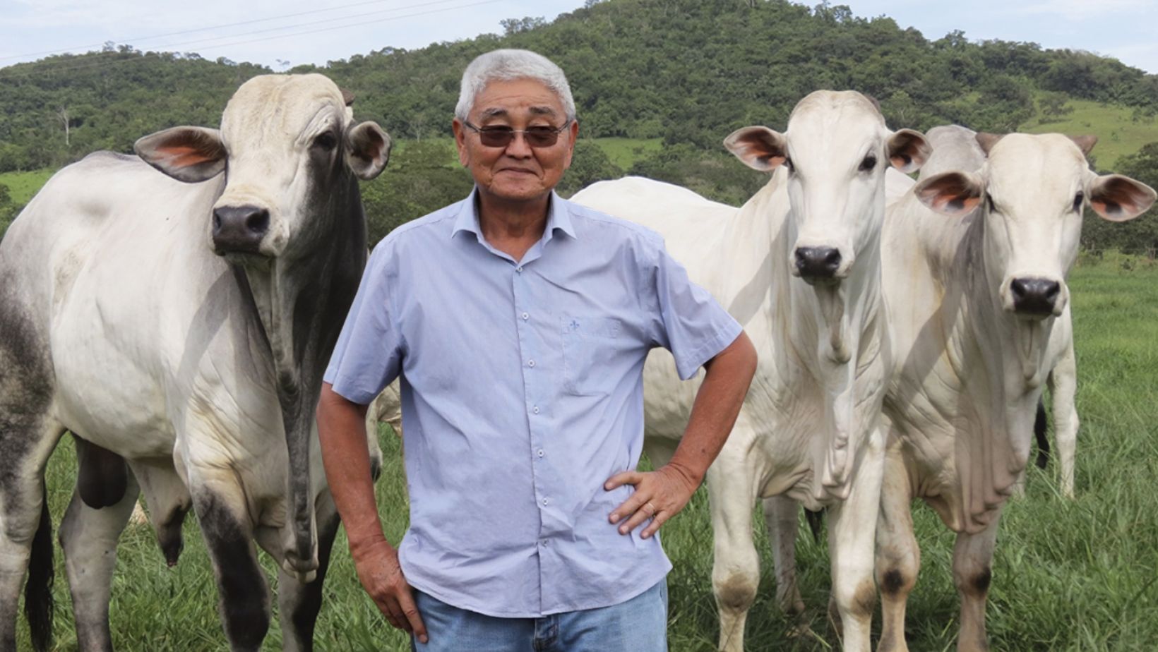 Shiro Nishimura revela como vendeu 13 mil cabeças de gado e fazendas para salvar a Jacto da falência após o Plano Collor