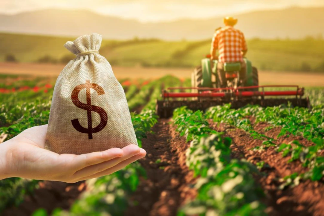 Custos da safra 2026/27 disparam em Mato Grosso: fertilizantes explodem 2.733% e pressionam produtores