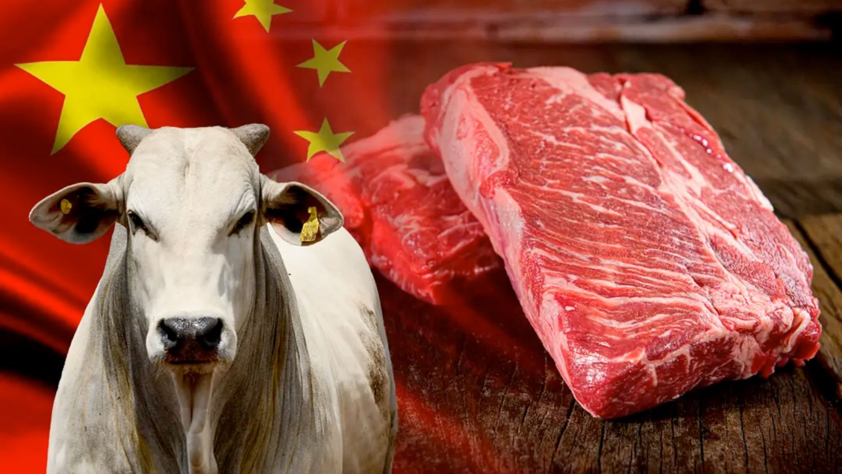 Governo pressiona China para revisar cota de carne bovina em 2027 e desonerar exportações brasileiras