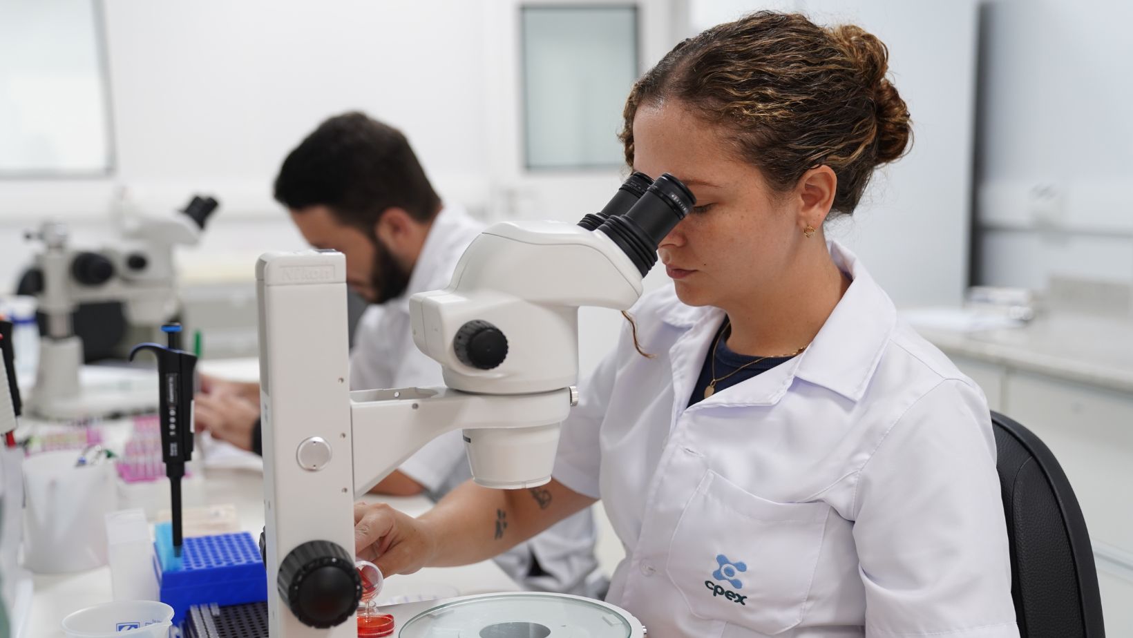 Brasil avança em genética bovina: laboratório produz 30 mil embriões por mês e consolida liderança global