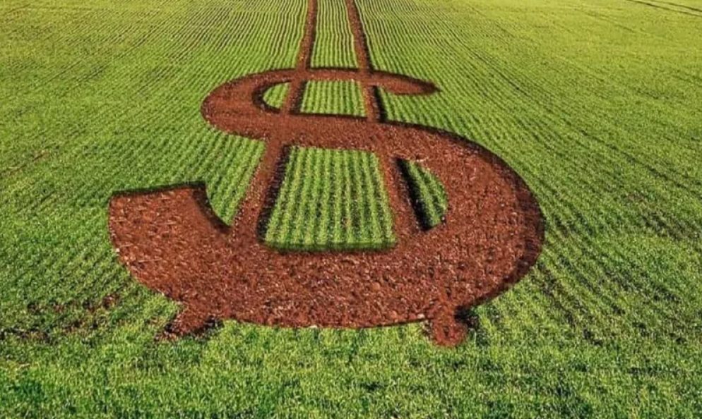 Plano Safra 2026-2027: Governo anuncia R$ 550 bilhões com juros reduzidos e adiamento de exigências ambientais