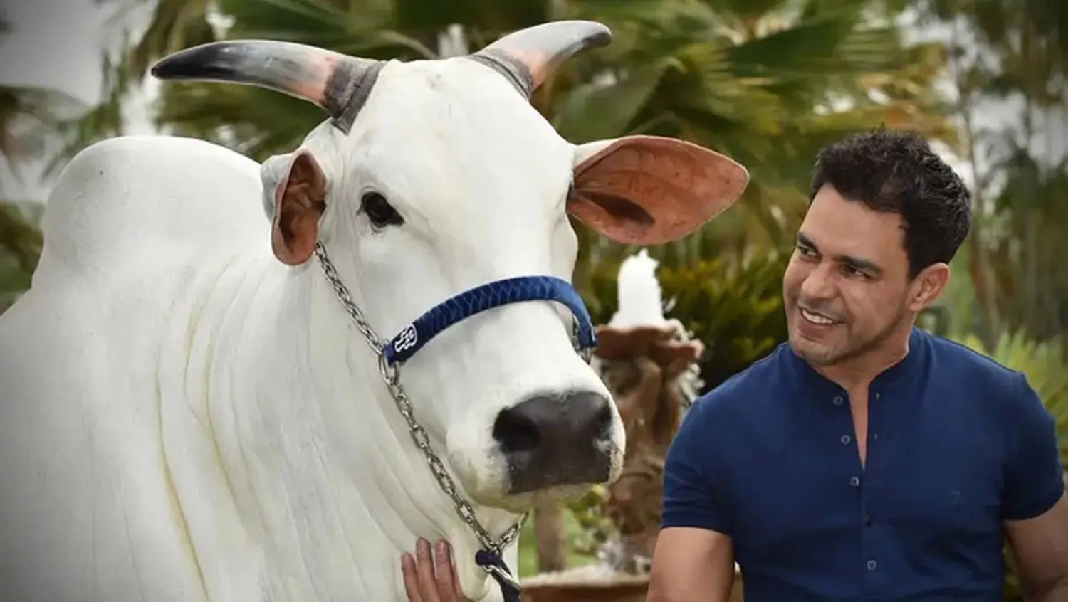 Zezé Di Camargo inova na Fazenda É o Amor: de símbolo de luxo a santuário de resgate animal
