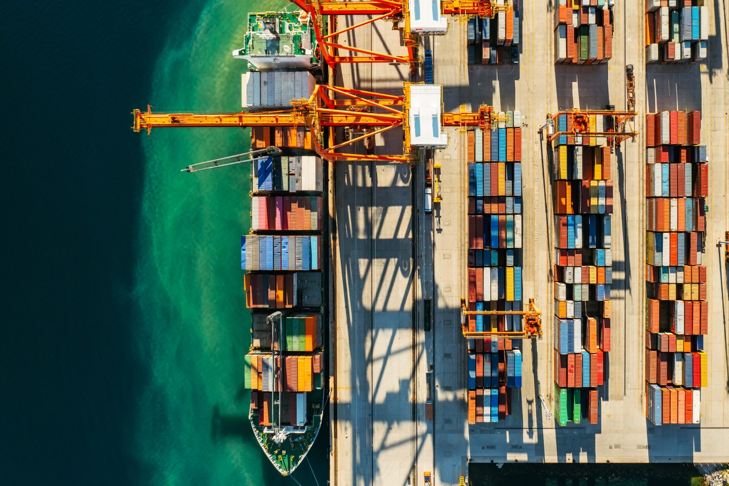 Brasil conquista 13 novos mercados para agronegócio em 2026: avanços sanitários abrem portas para exportações estratégicas