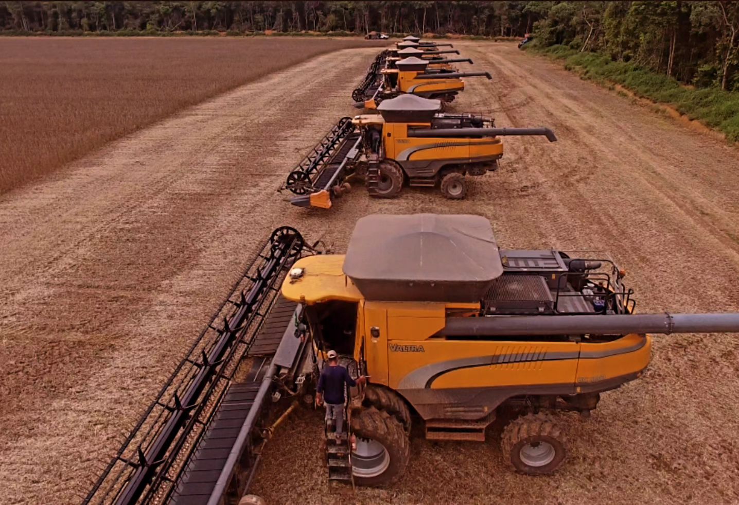 Cosan vende 41 mil hectares em Mato Grosso por R$ 1,85 bi: Grupo Bom Futuro lidera negociação histórica no agro