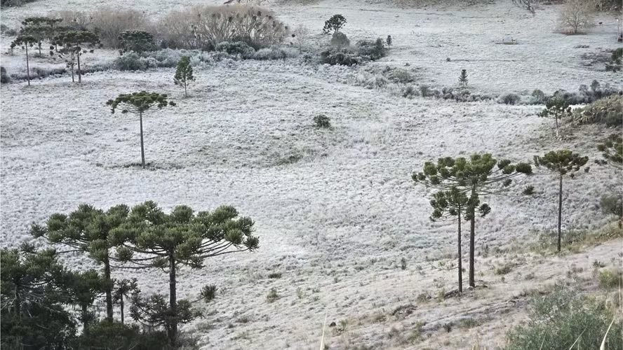Frio extremo e neve: onda polar atinge 12 estados a partir desta quarta-feira (24/6)