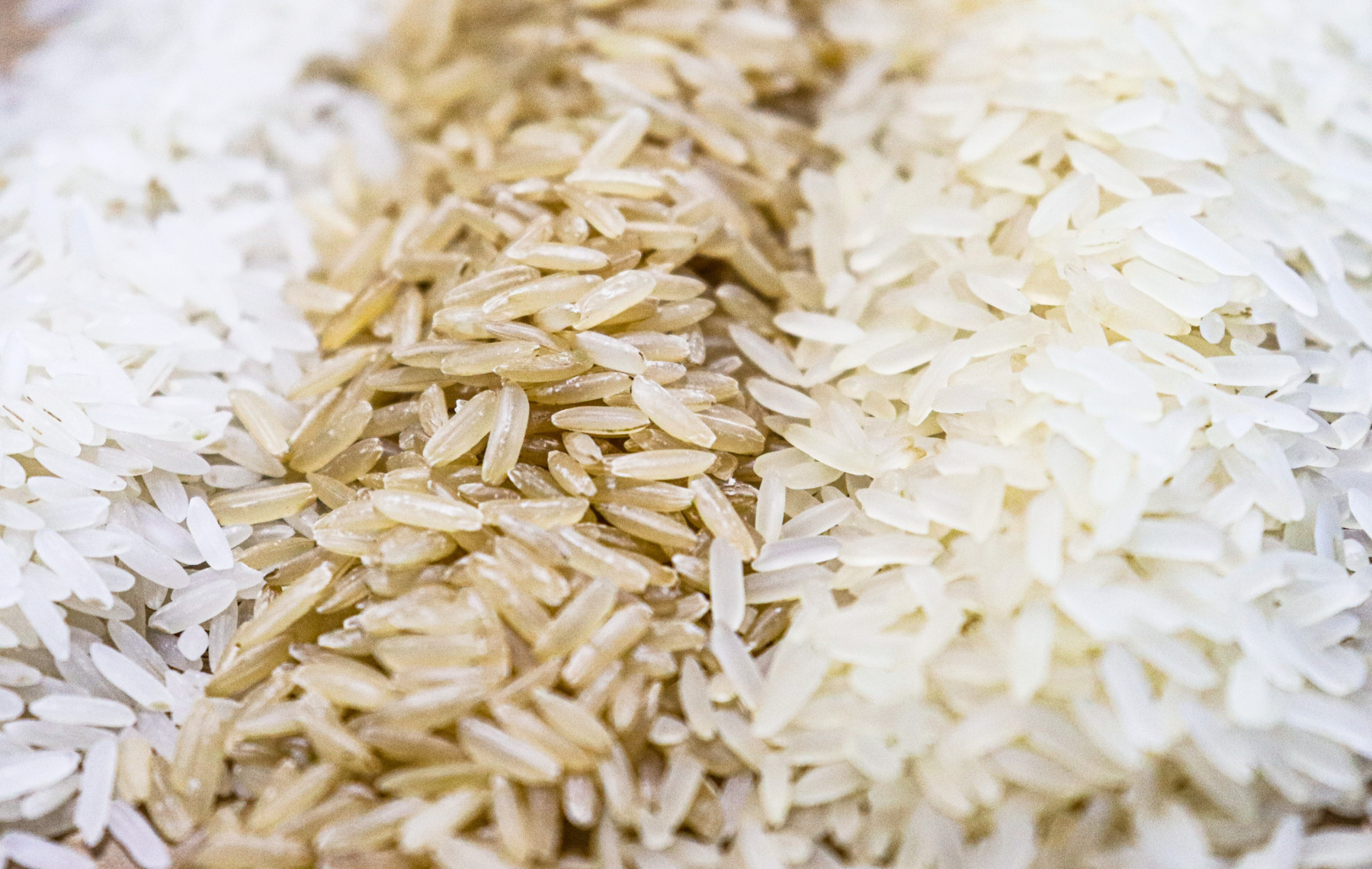 Arroz no Rio Grande do Sul: oferta restrita mantém preços em patamares baixos mesmo com demanda pontual