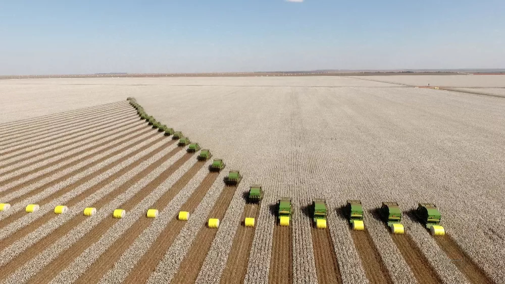 Bom Futuro e SLC Agrícola travam batalha milionária por 41 mil hectares de terras em Mato Grosso