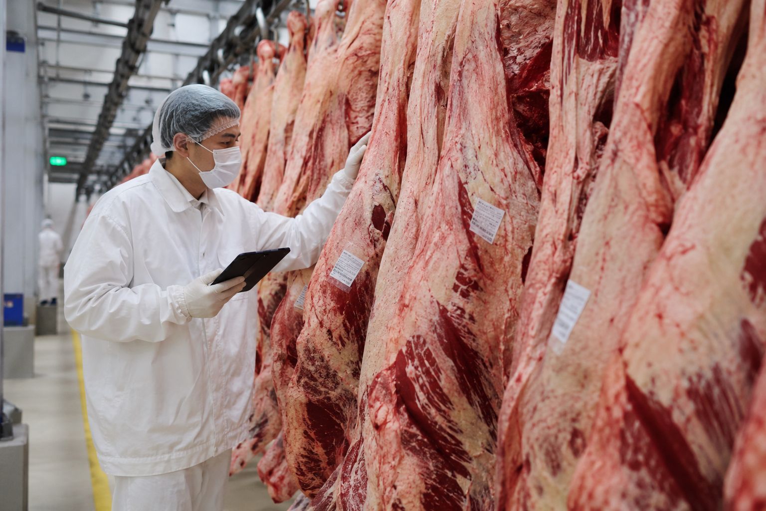 Exportações de carne bovina do Brasil batem recorde: US$ 9,85 bi no 1º semestre de 2026