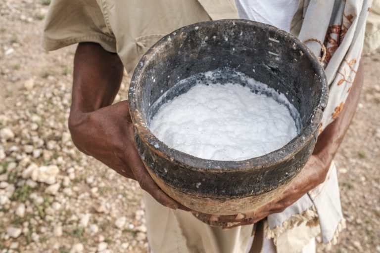 Leite de camela vira ‘ouro branco’ do agro global: nutrição superior e cadeia que desafia o mercado tradicional