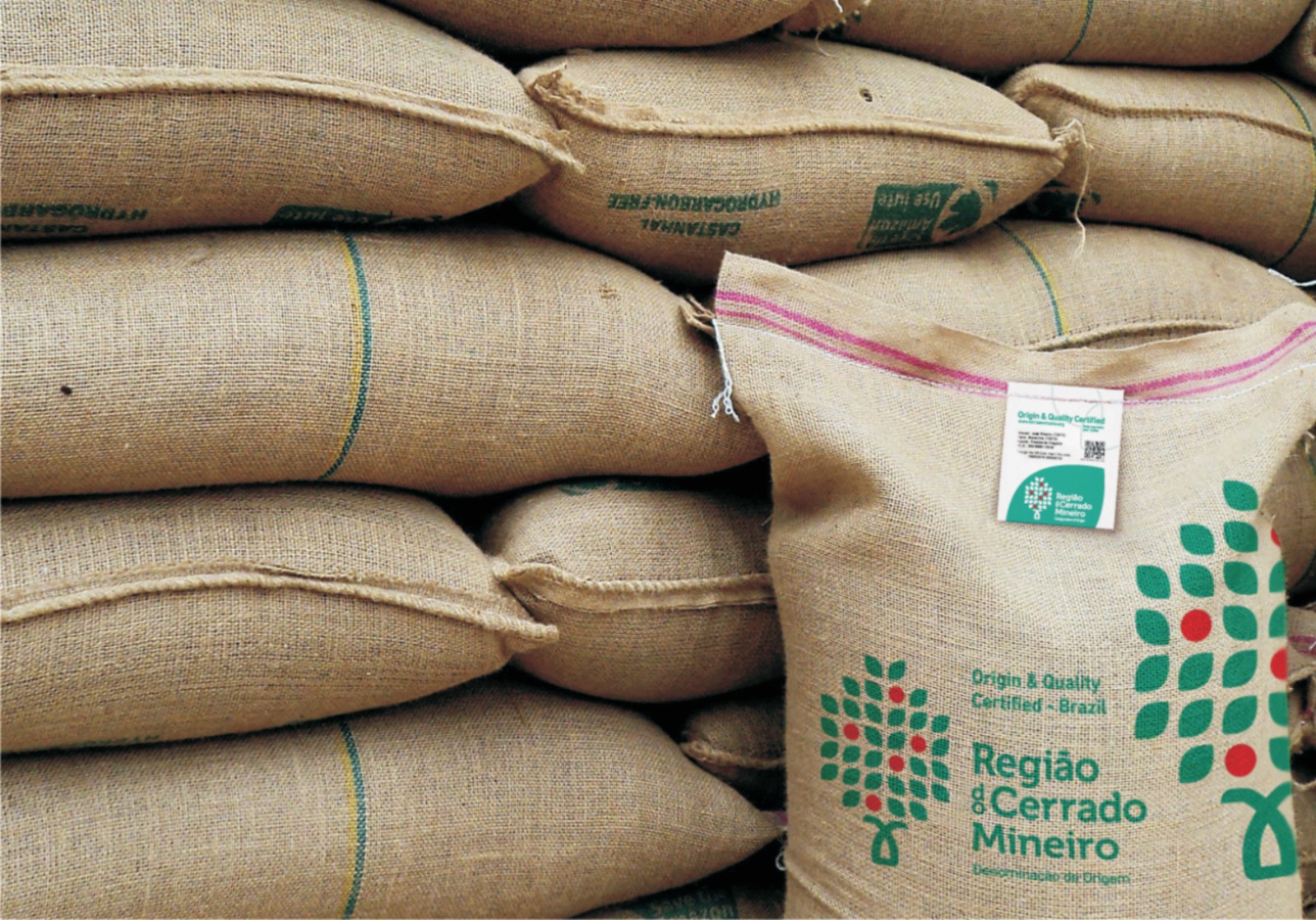 Exportações brasileiras de café podem saltar 17% em 2026/27, mas qualidade é ameaçada por chuvas atípicas