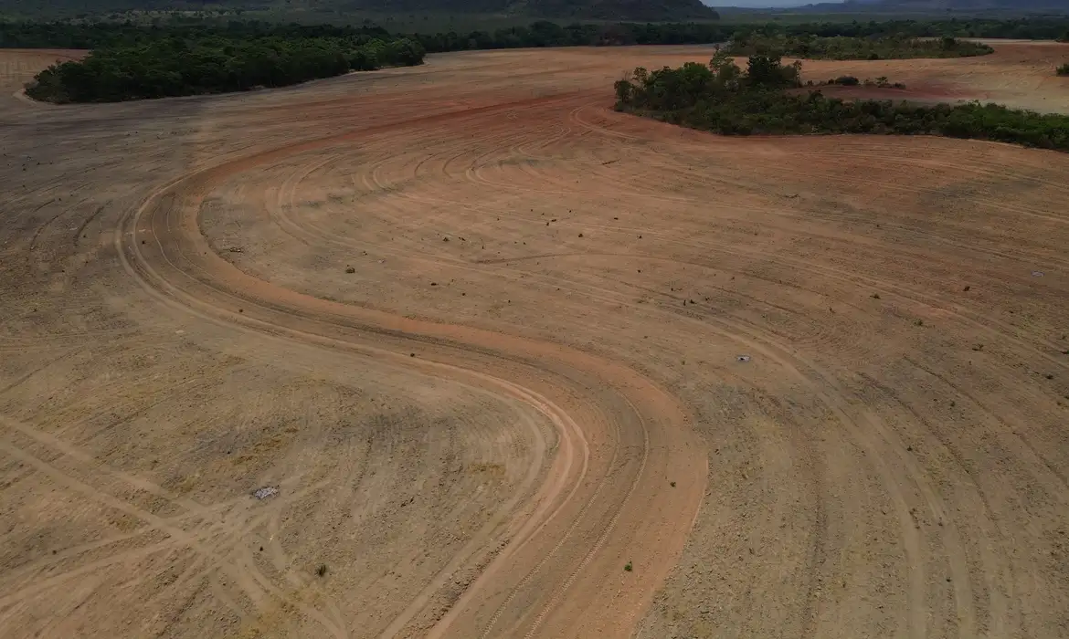 Fim da Moratória da Soja pode acelerar desmatamento na Amazônia até 2036, aponta estudo