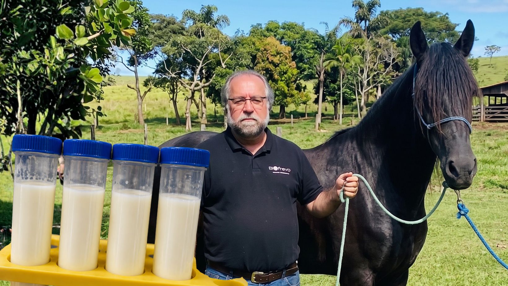 Leite de jumenta ganha destaque como alternativa natural aos antibióticos na reprodução de equídeos
