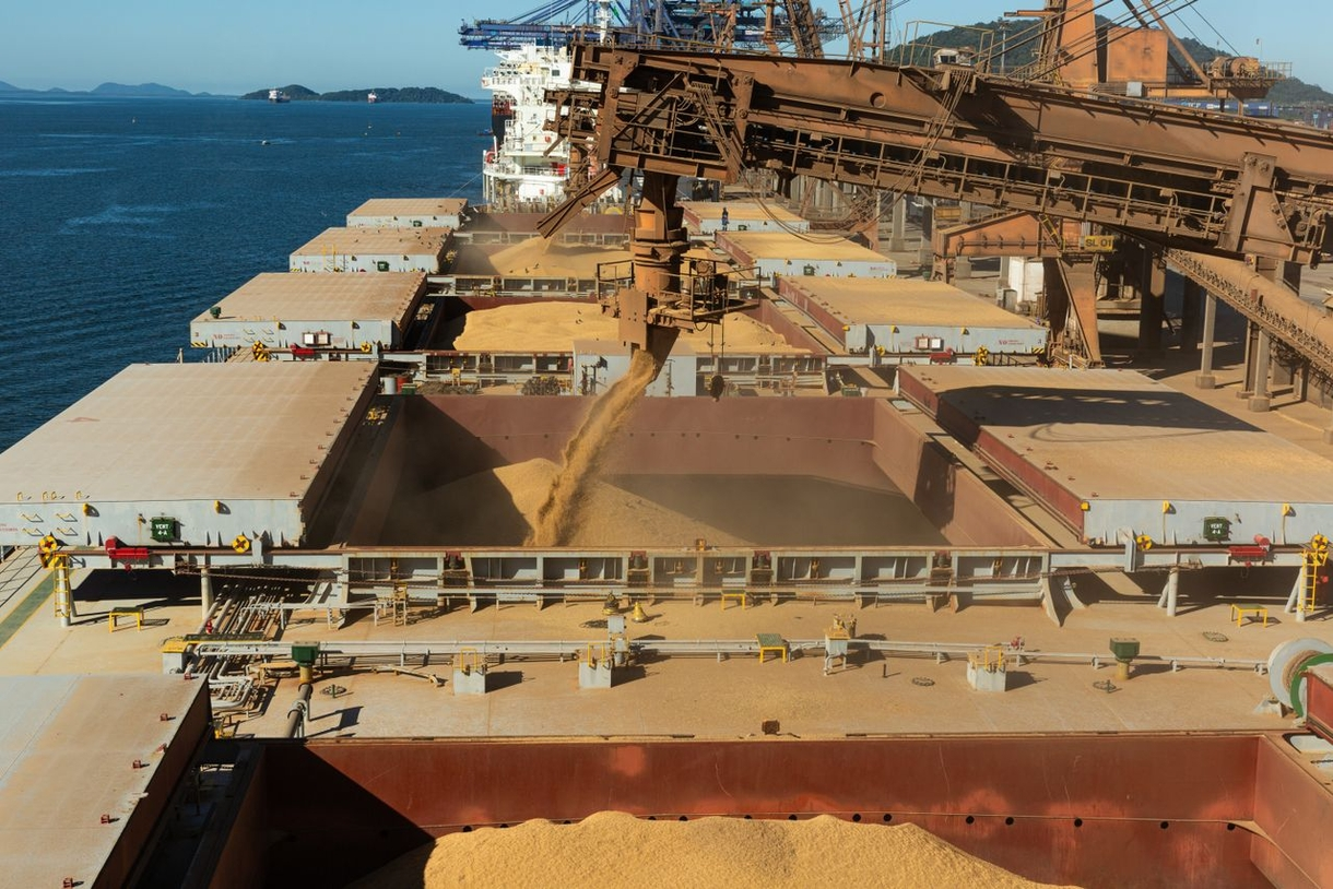 Controles fitossanitários blindam exportações brasileiras de grãos contra barreiras internacionais