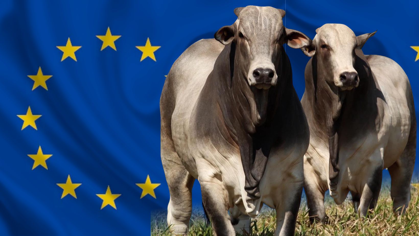 Brasil trava batalha diplomática para manter portas abertas ao agro na UE