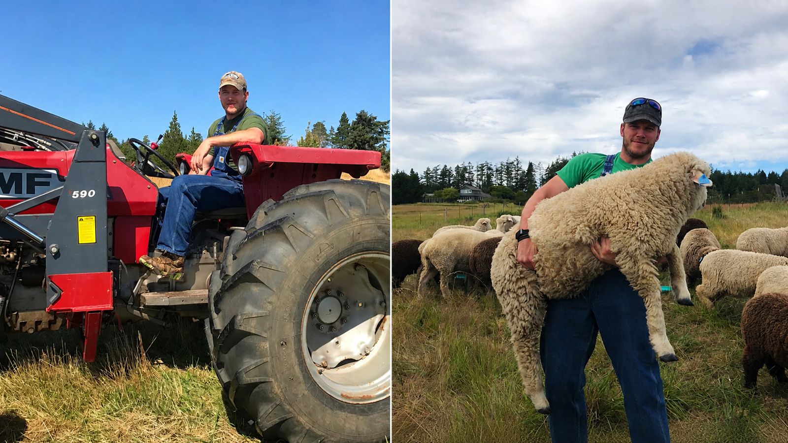 Do cinema às pastagens: Chris Pratt transforma rancho em Washington em símbolo de vida rural norte-americana